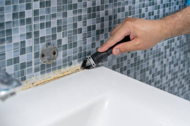 Best Insurance-Related Mold Remediation in Castle Point, MO
